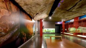 5 Museum Terbaik Di Afrika Selatan
