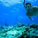 Wisata Laut untuk Diving Snorkeling di Indonesia