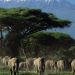 10 Objek Wisata di Kenya Wajib Anda Kunjungi
