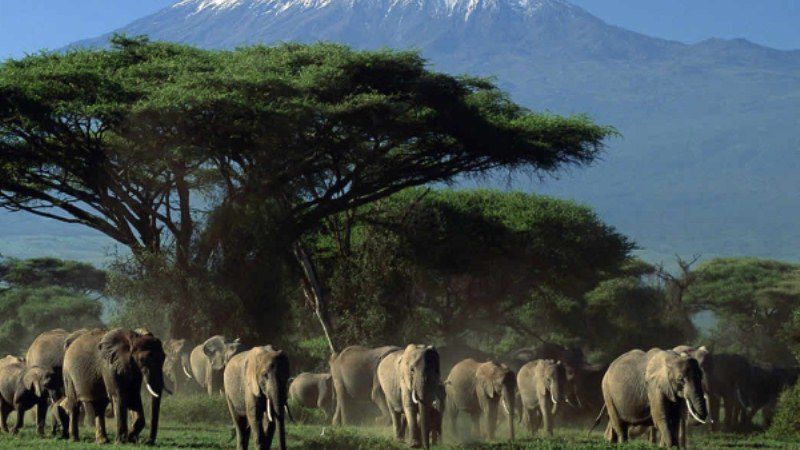 10 Objek Wisata di Kenya Wajib Anda Kunjungi