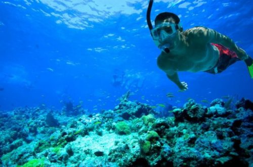 Wisata Laut untuk Diving Snorkeling di Indonesia