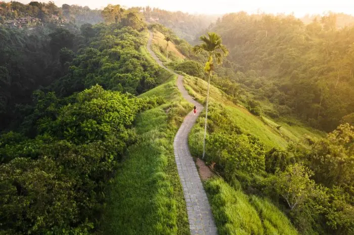Panduan Wisata Ubud, Menjelajahi Hutan, Sawah, dan Seni yang Menginspirasi